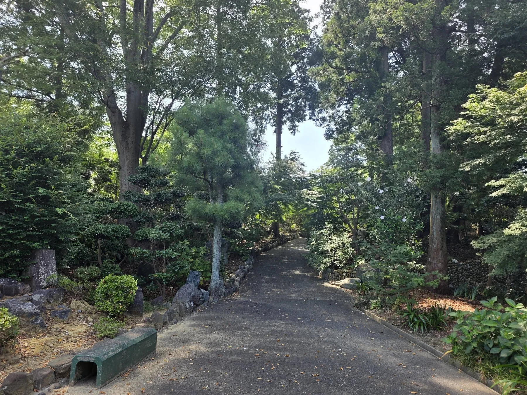 樹木に囲まれた医王寺参道
