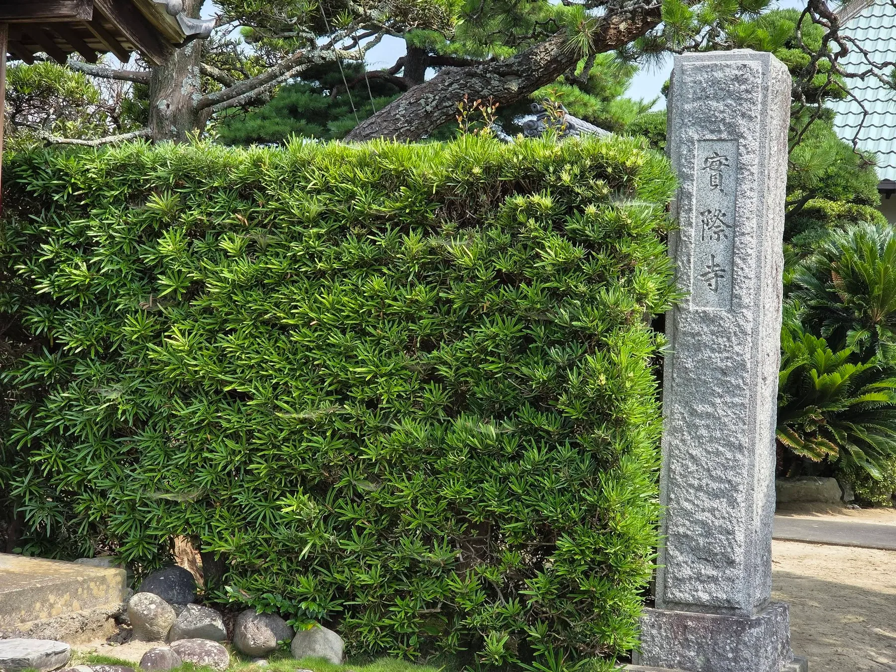 実際寺の現地写真1