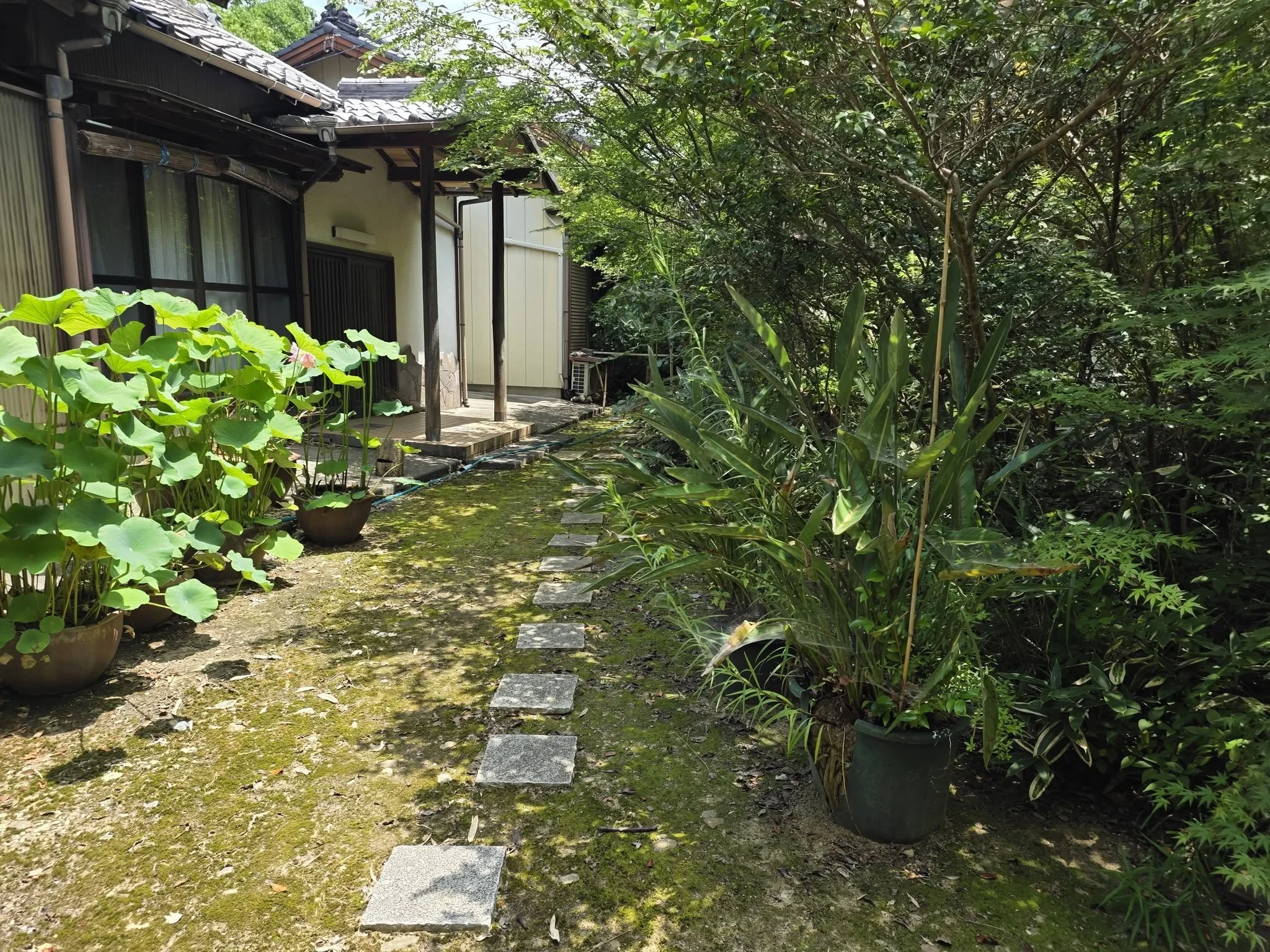 寿正寺の庭園路