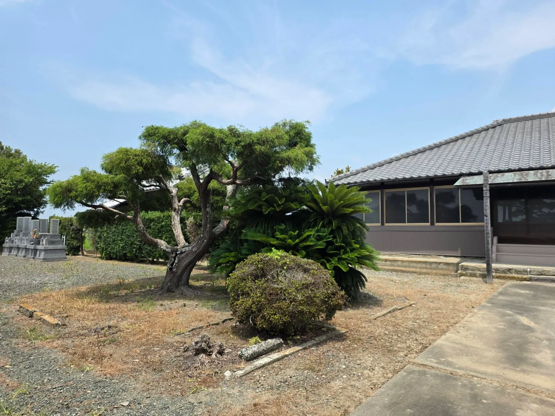 草崎壽正寺の入口と墓域