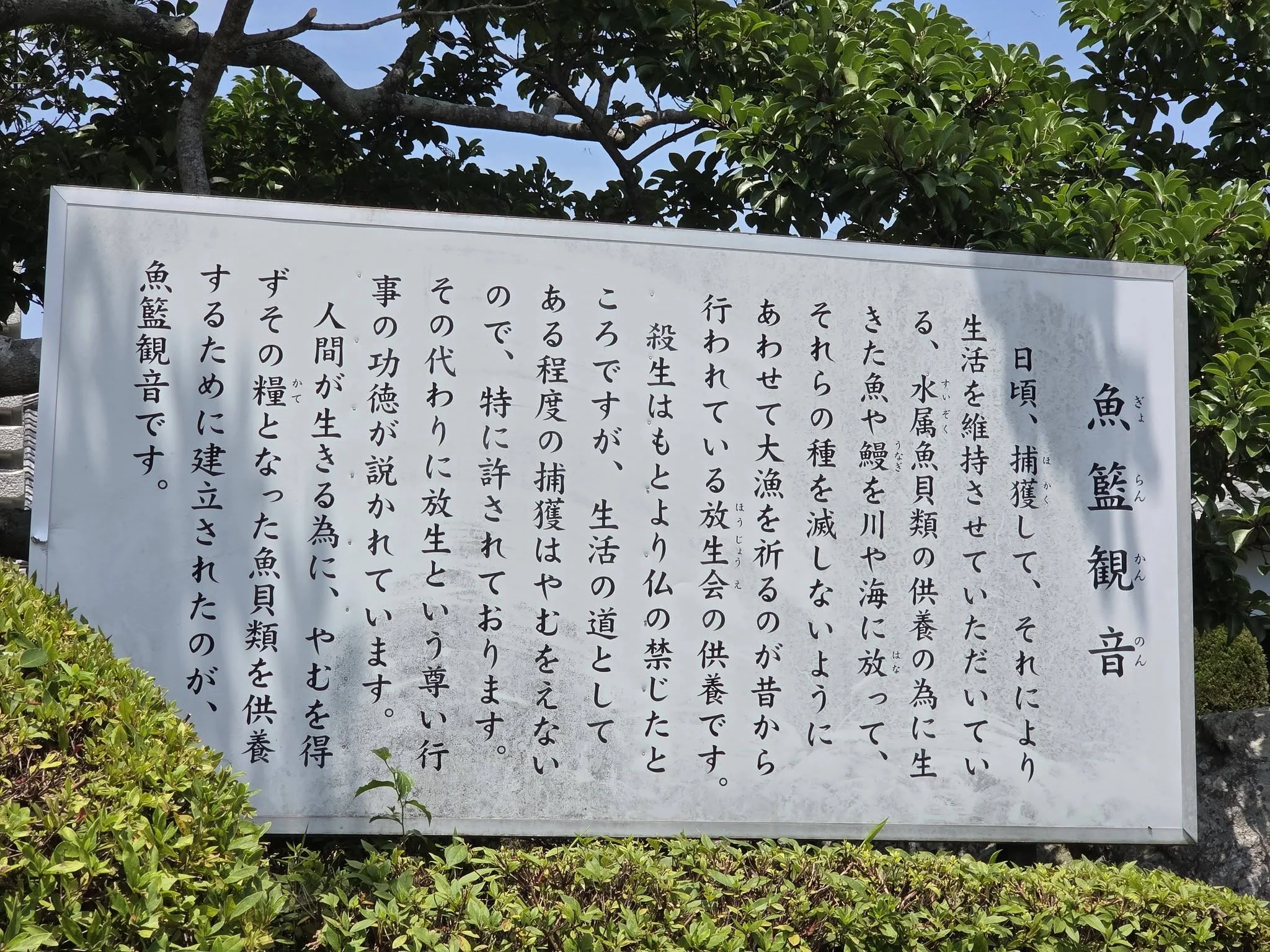 観音寺魚籃観音説明板