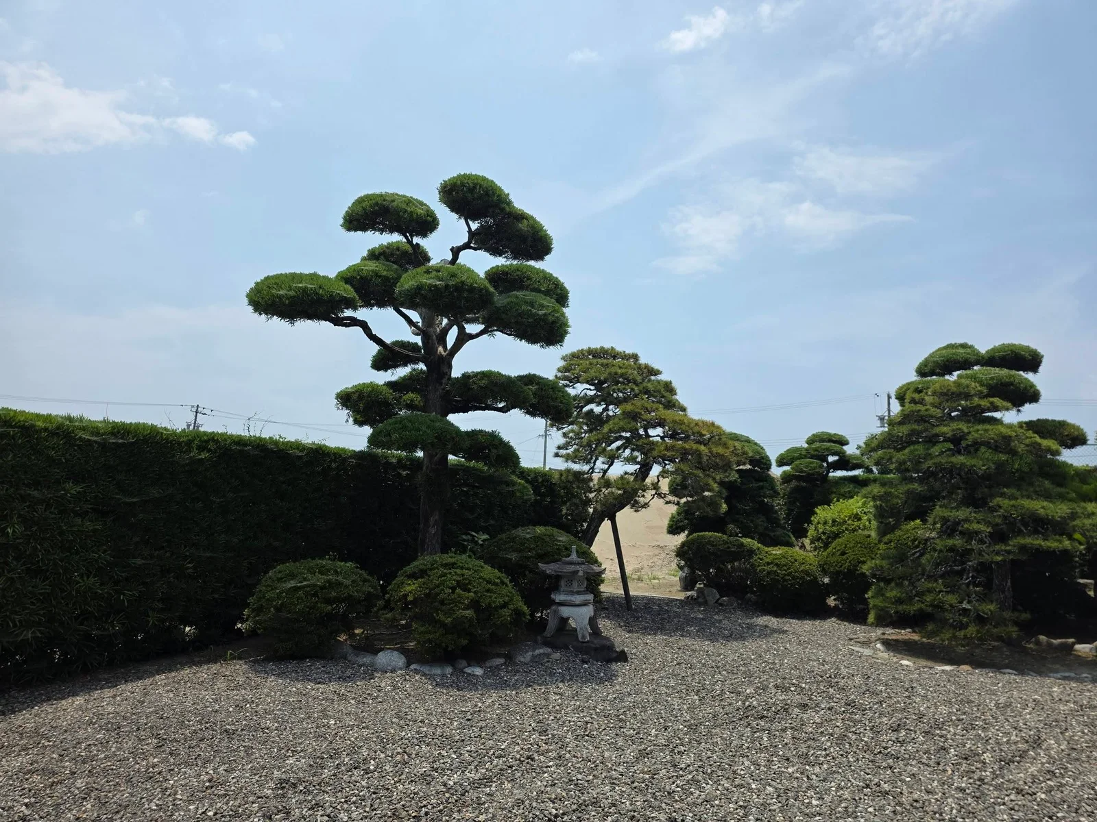 蓮覚寺の現地写真 1