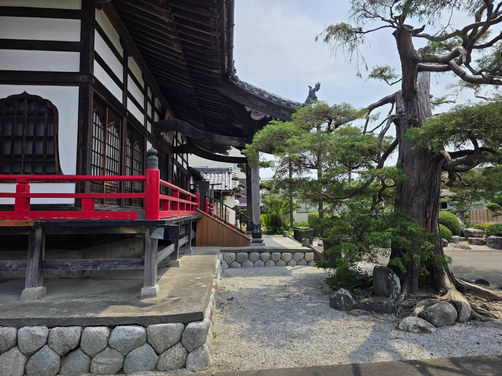 龍泉寺本堂側面と樹木